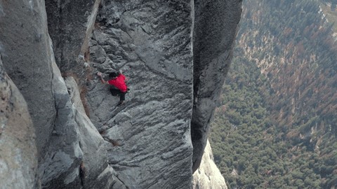 Picture of Alex Honnold free soloing El Capitan