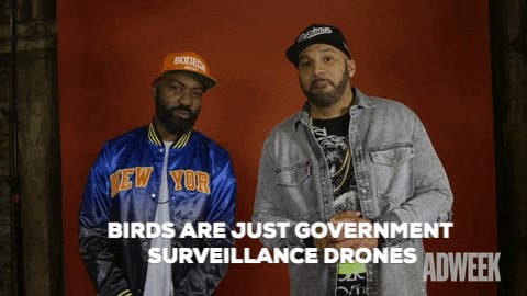Picture of two men saying, "Birds are just government surveillance drones."