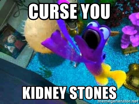 Meme of "curse you kidney stones"